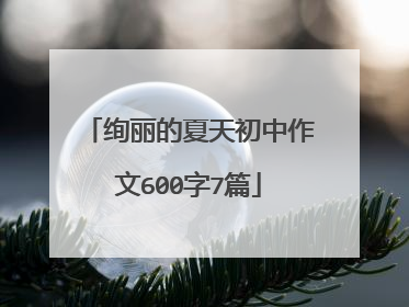 绚丽的夏天初中作文600字7篇