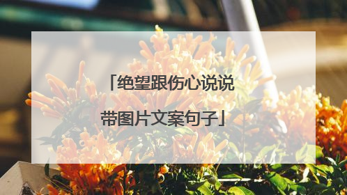 绝望跟伤心说说带图片文案句子