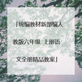 统编教材新部编人教版六年级 上册语文全册精品教案