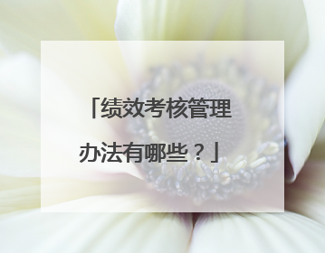 绩效考核管理办法有哪些？