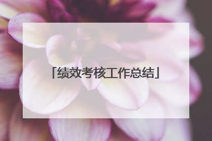 绩效考核工作总结