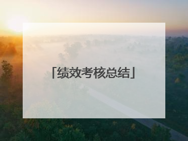 绩效考核总结