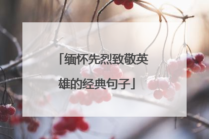 缅怀先烈致敬英雄的经典句子