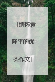 缅怀袁隆平的优秀作文