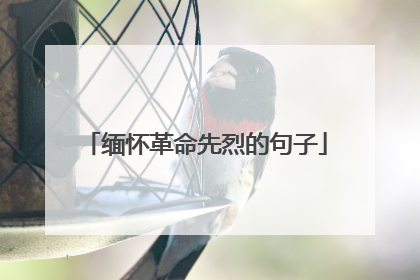缅怀革命先烈的句子