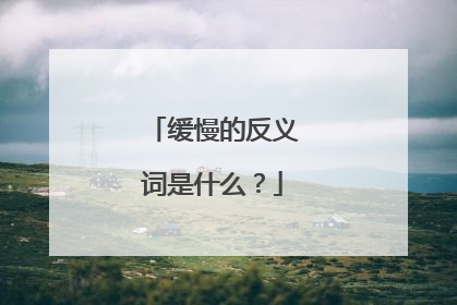 缓慢的反义词是什么?