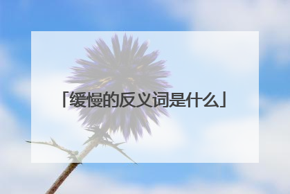 缓慢的反义词是什么