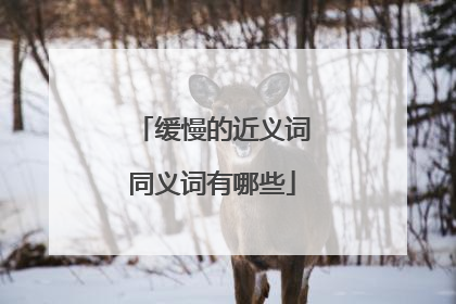 缓慢的近义词同义词有哪些