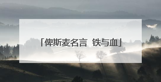 俾斯麦名言 铁与血