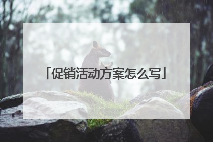 促销活动方案怎么写