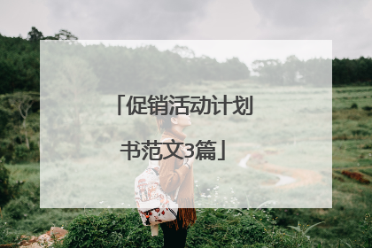 促销活动计划书范文3篇