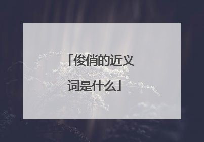 俊俏的近义词是什么
