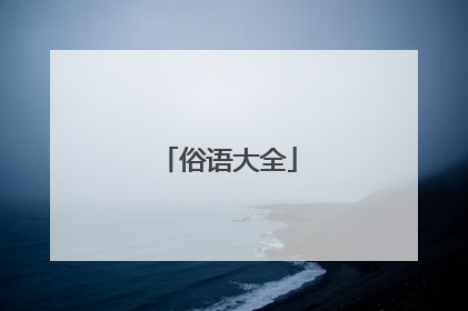 俗语大全