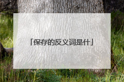 保存的反义词是什