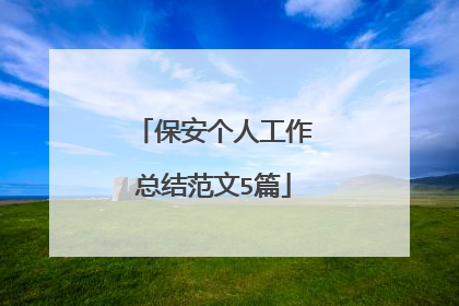 保安个人工作总结范文5篇