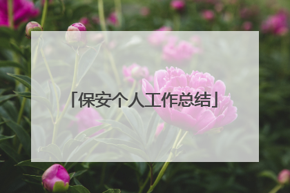 保安个人工作总结