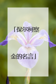 保尔柯察金的名言