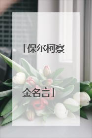 保尔柯察金名言