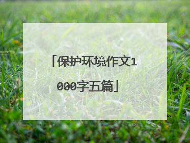 保护环境作文1000字五篇