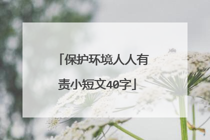 保护环境人人有责小短文40字