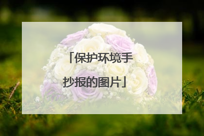 保护环境手抄报的图片