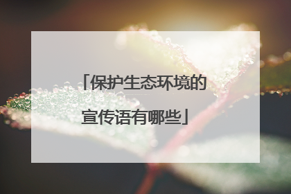 保护生态环境的宣传语有哪些