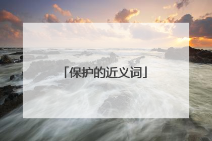 保护的近义词