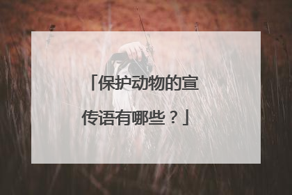 保护动物的宣传语有哪些？