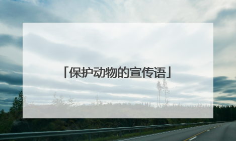保护动物的宣传语