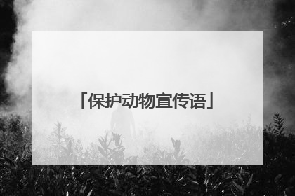 保护动物宣传语