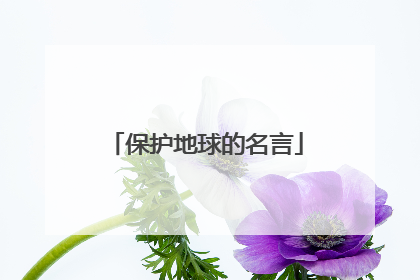 保护地球的名言