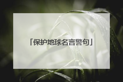 保护地球名言警句