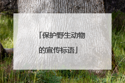 保护野生动物的宣传标语