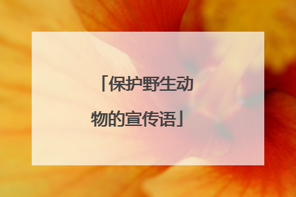 保护野生动物的宣传语