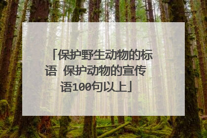 保护野生动物的标语 保护动物的宣传语100句以上