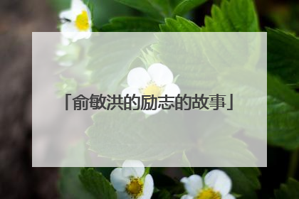 俞敏洪的励志的故事