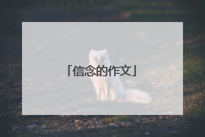 信念的作文
