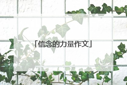 信念的力量作文