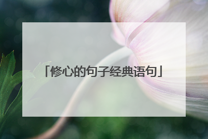 修心的句子经典语句