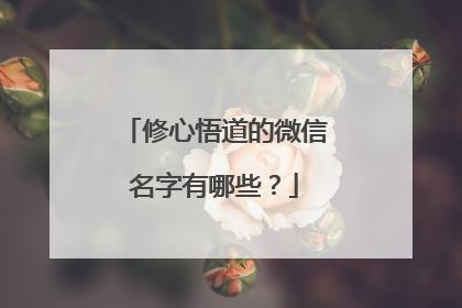 修心悟道的微信名字有哪些？