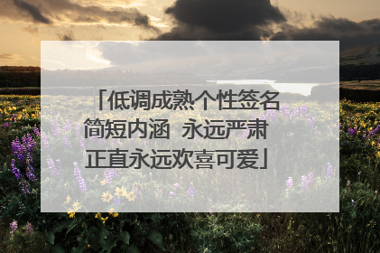 低调成熟个性签名简短内涵 永远严肃正直永远欢喜可爱