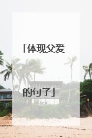 体现父爱的句子