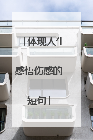 体现人生感悟伤感的短句