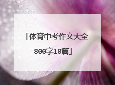 体育中考作文大全800字10篇