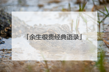 余生很贵经典语录