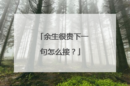 余生很贵下一句怎么接？