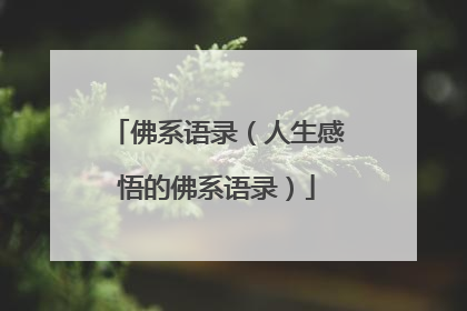 佛系语录(人生感悟的佛系语录)