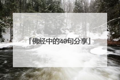 佛经中的40句分享