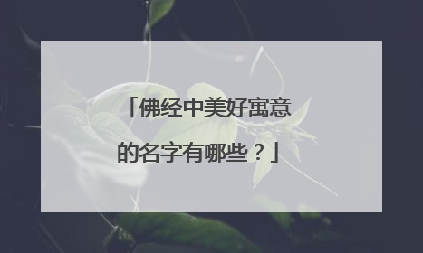 佛经中美好寓意的名字有哪些？