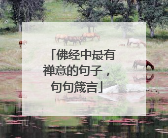佛经中最有禅意的句子,句句箴言